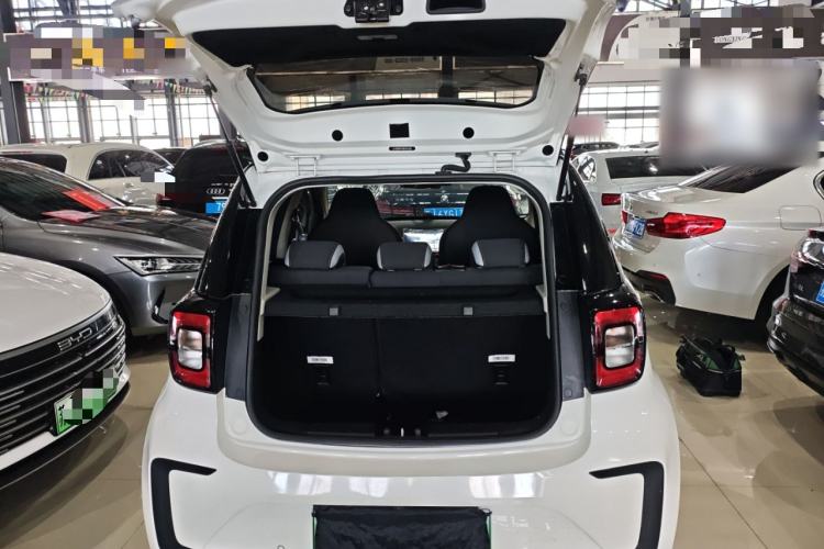 Used SOL E10X 2021 302 km Range Luxury Version 30.2 kWh
