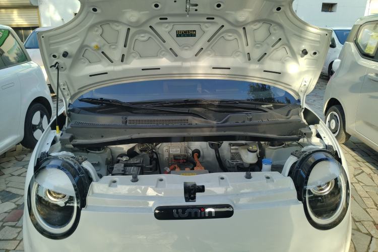 Used  Lumin 2025 205 km Xiangqin Version