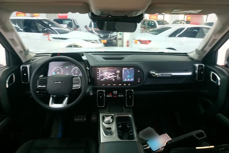 Used Haval DARGO 2024 2.0T DCT Chinese Rural Dog Edition
