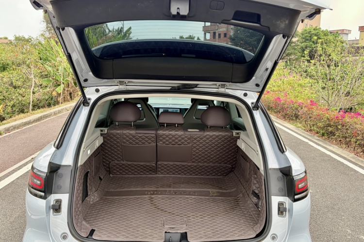 Used Leapmotor C11 2023 Pure Electric 500 Comfort Edition
