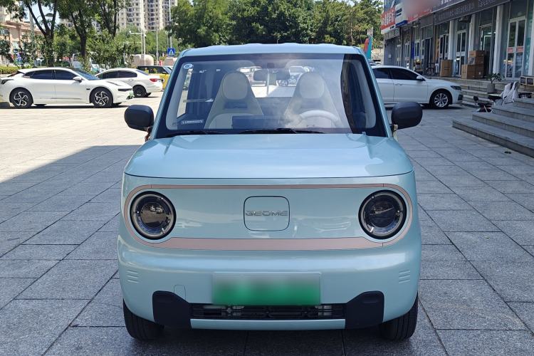 Used  Panda 2023 Panda Mini 200km Endurance Bear
