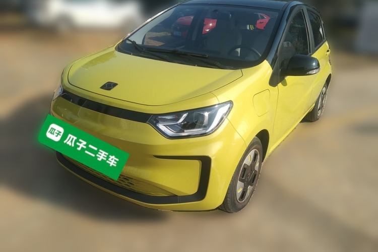 Used SOL E10X 2022 Flower Fairy Design Four-Leaf Clover