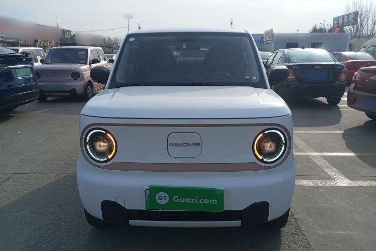 Used  Panda 2024 Panda Mini 200km Endurance Bear
