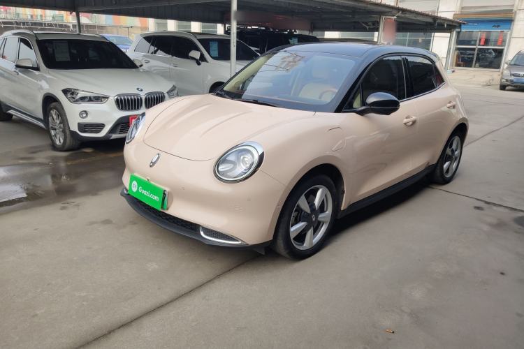 Used ORA Good Cat 2021 400km Standard Range Athena Edition Lithium-Ion Battery