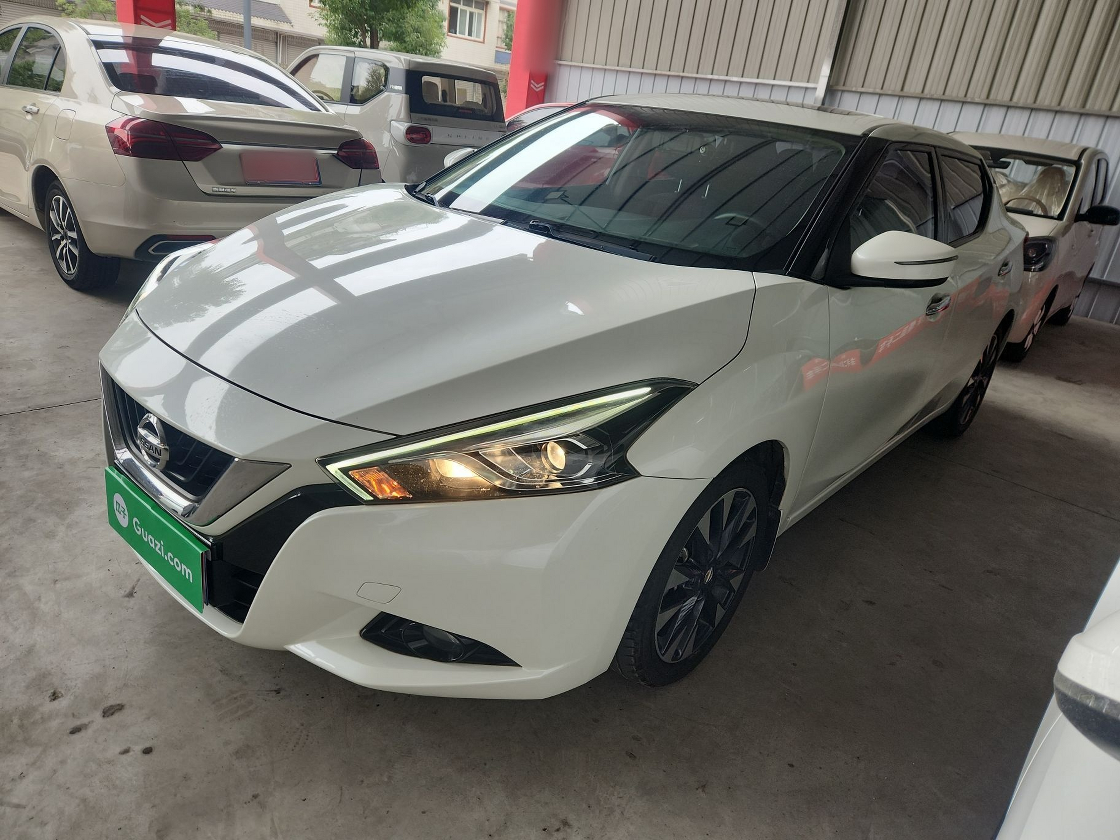 تحت مقدمة السيارة