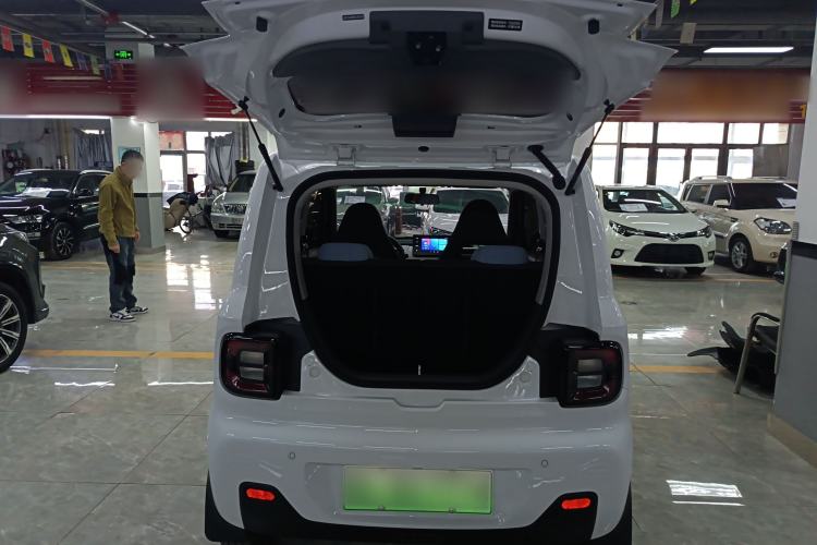 Used  Panda 2024 Panda Mini 200km Endurance Bear
