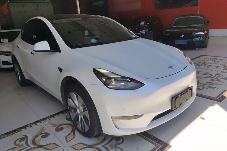 Used Tesla Model Y 2021 Standard Range Rear-Wheel Drive Version

