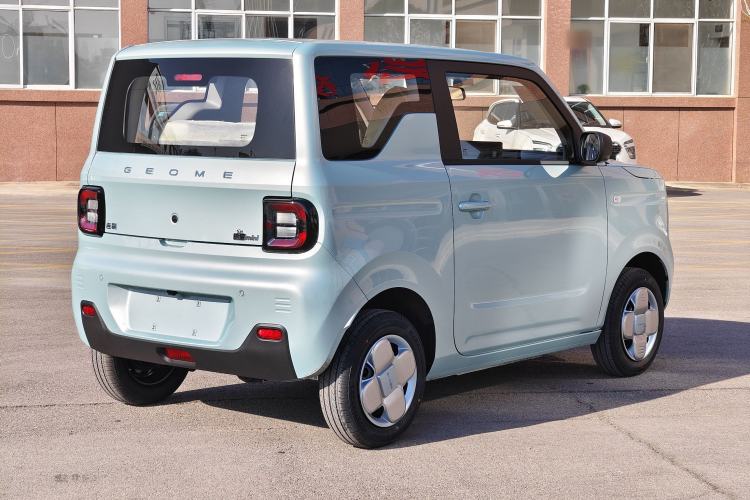 Used  Panda 2024 Panda Mini 200km Endurance Bear
