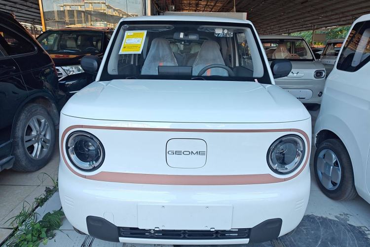 Used  Panda 2024 Panda Mini 200km Endurance Bear
