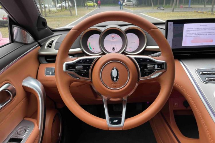 Used ORA Lightning Cat 2022 555 km Luxury Edition
