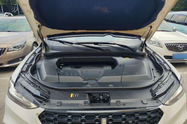 Used Wey VV6 2019 2.0T Two-Wheel-Drive Flagship Version China VI Standard
