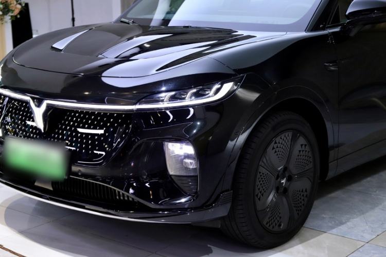 Used VOYAH COURAGE 2024 Four-Wheel Drive Global Edition