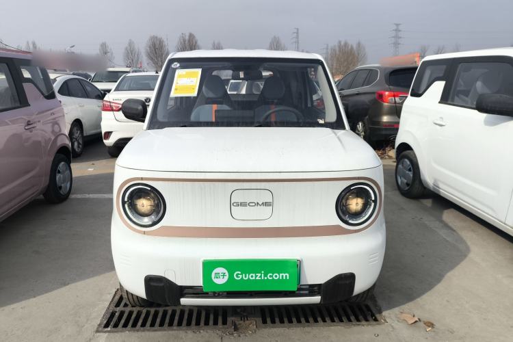 Used  Panda 2024 Panda Mini 200km Endurance Bear
