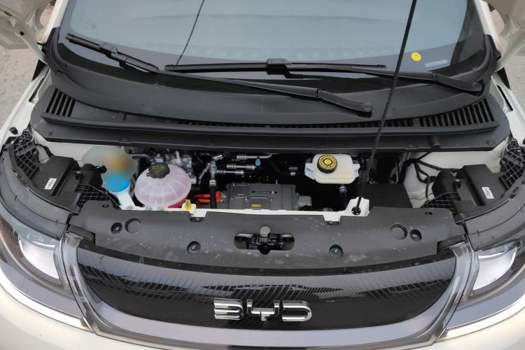 Used BYD Dolphin 2025 420km Free Edition