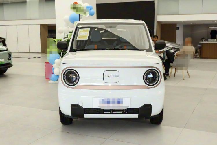 Used  Panda 2024 Panda Mini 200km Endurance Bear
