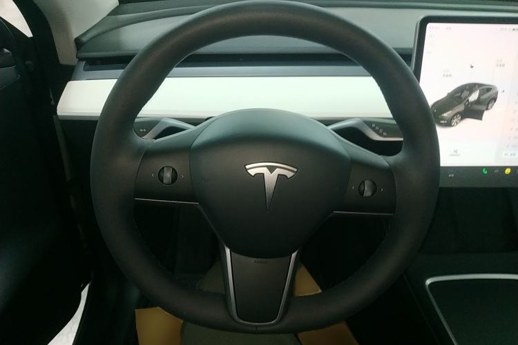 Used Tesla Model Y 2021 Standard Range Rear-Wheel Drive Version