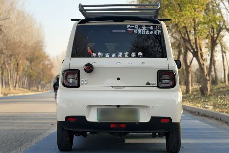Used  Panda 2025 210 km – Yuanqi Bear
