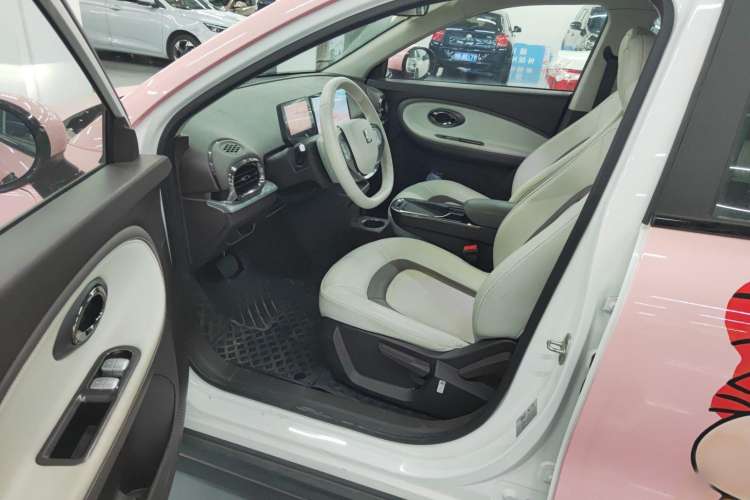 Used  3 2024 Zhi'ai Edition 330km Air
