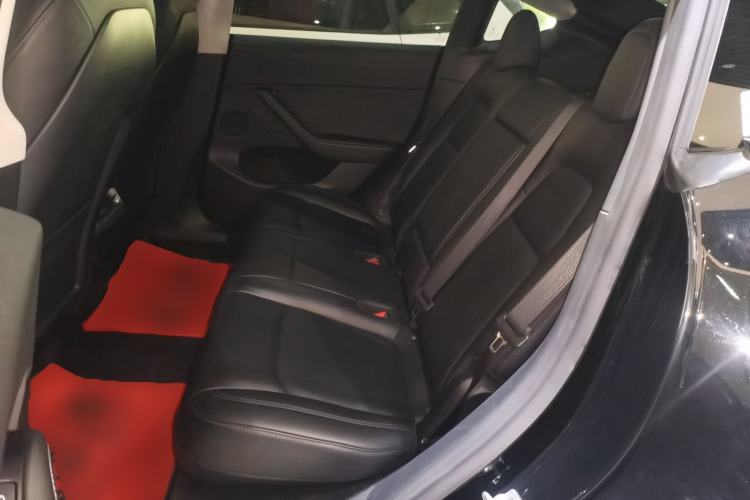 Used Tesla Model Y 2021 Standard Range Rear-Wheel Drive Version
