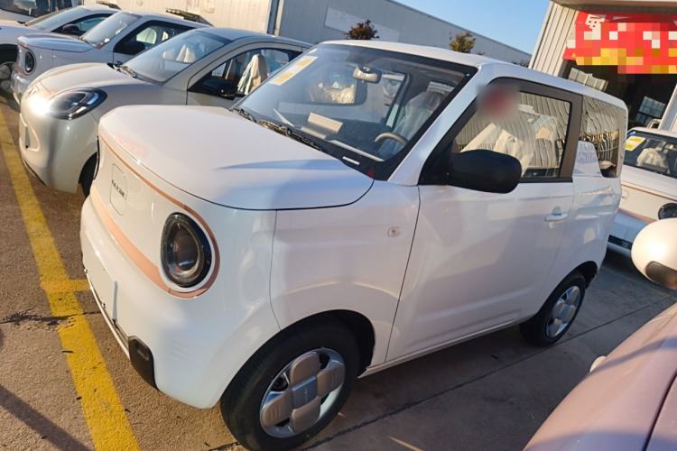 Used  Panda 2024 Panda Mini 200km Endurance Bear
