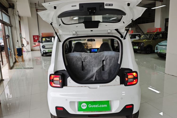 Used  Panda 2024 Panda Mini 200km Endurance Bear