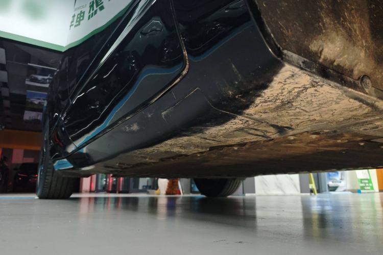 Used  07 2024 Max Extended-Range Edition
