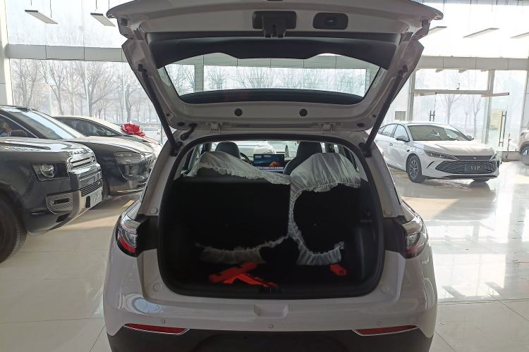 Used  Geome 2026 Model 310km Dream Edition
