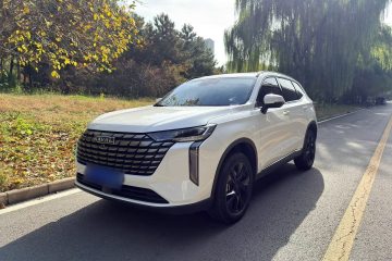 Used Haval H6 2024 1.5T Two-Wheel Drive Pro