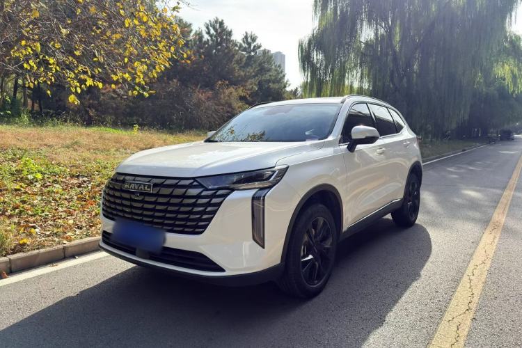 Used Haval H6 2024 1.5T Two-Wheel Drive Pro