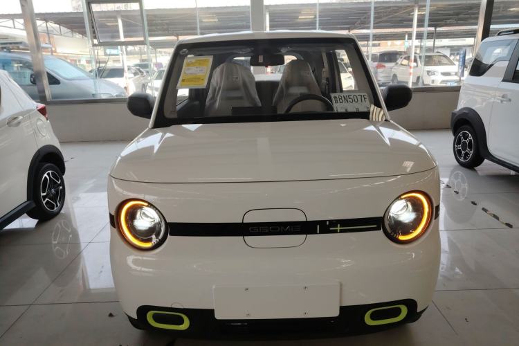 Used  Panda 2025 210 km – Yuanqi Bear
