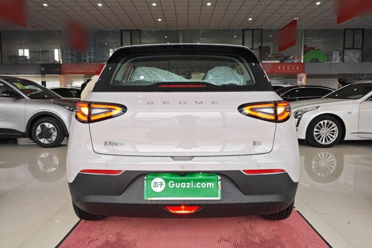 Used  Geome 2026 Model 310km Dream Edition