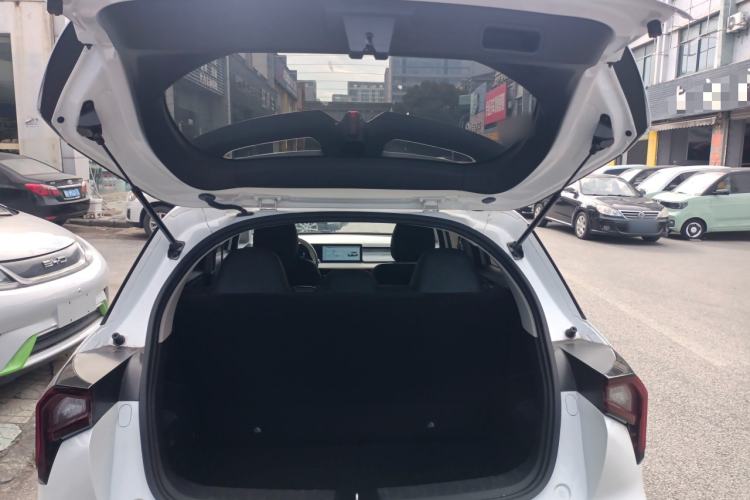 Used Geometry E Firefly 2024 401 km Fluorescent
