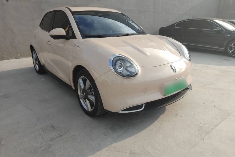 Used ORA Good Cat 2022 Morandi Edition 400km Standard Range Premium Version Lithium Iron Phosphate
