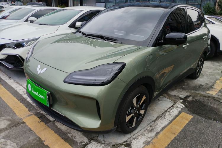 Used Wuling Bingo PLUS 2024 510 km Flagship Edition Four-Seater Version
