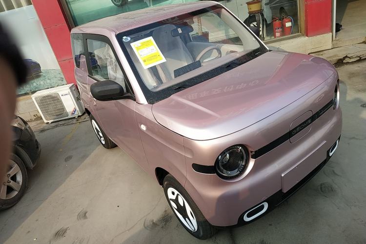 Used  Panda 2025 210 km – Yuanqi Bear
