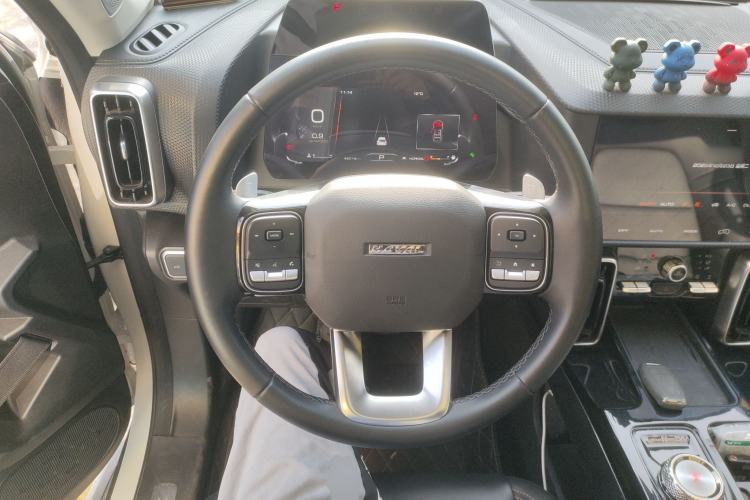 Used Haval DARGO 2022 2.0T DCT 4x4 Chinese Rural Dog Edition