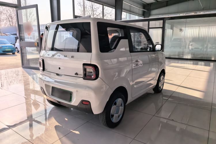 Used  Panda 2024 Panda Mini 200km Endurance Bear
