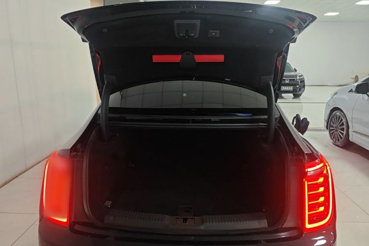 Used Hongqi H9 2020 2.0T Smart Connect Flagship Edition