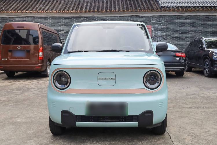 Used  Panda 2024 Panda Mini 200km Endurance Bear
