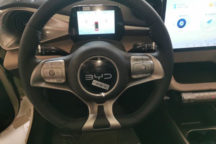 Used BYD Dolphin 2025 420km Free Edition
