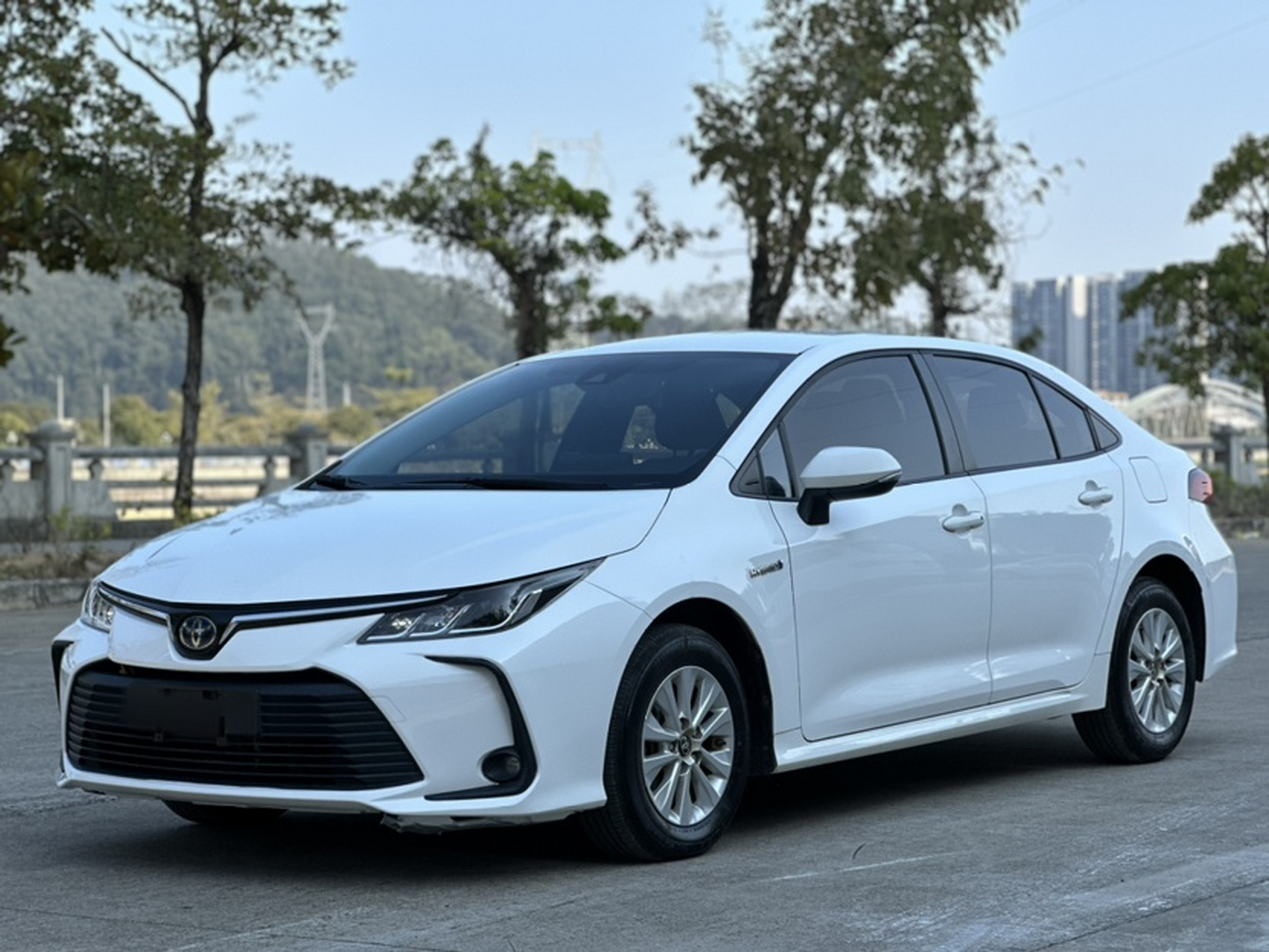 تحت مقدمة السيارة