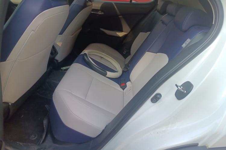 Used Lexus UX New Energy 2020 300e Pure·Joy Edition