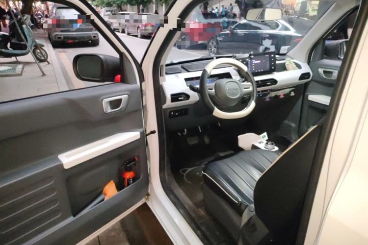 Used  Panda 2024 Panda Mini 200km Endurance Bear
