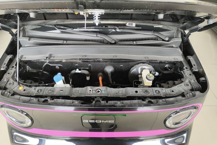 Used  Panda 2024 200km Panda Kart
