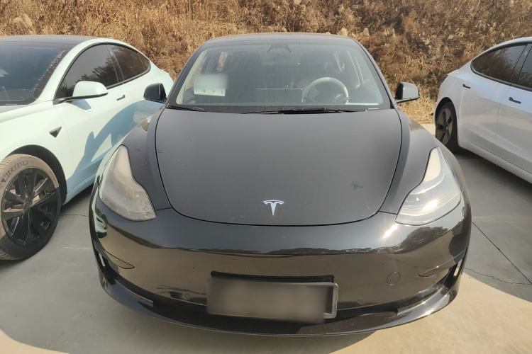 Used Tesla Model 3 2021 Standard Range Rear-Wheel Drive Upgraded Version 3D6