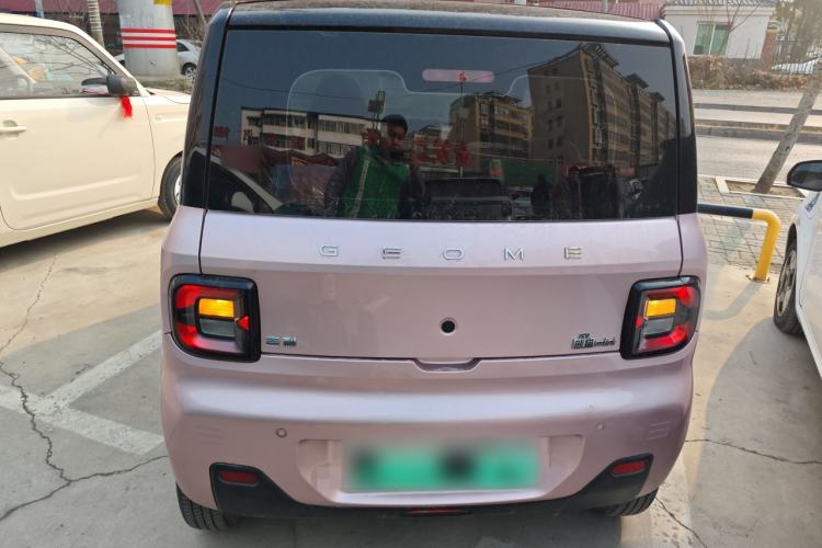 Used  Panda 2023 Panda Mini 200km Dynamic Bear
