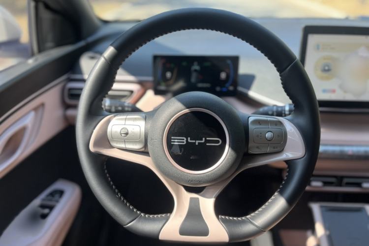 Used BYD Seagull 2023 Flying Edition
