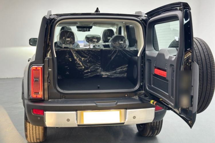 Used Haval Raptor New Energy 
