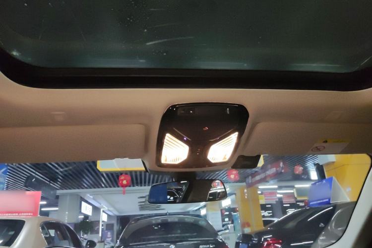 Used BMW 5 Series New Energy 2020 530Le Luxury Package
