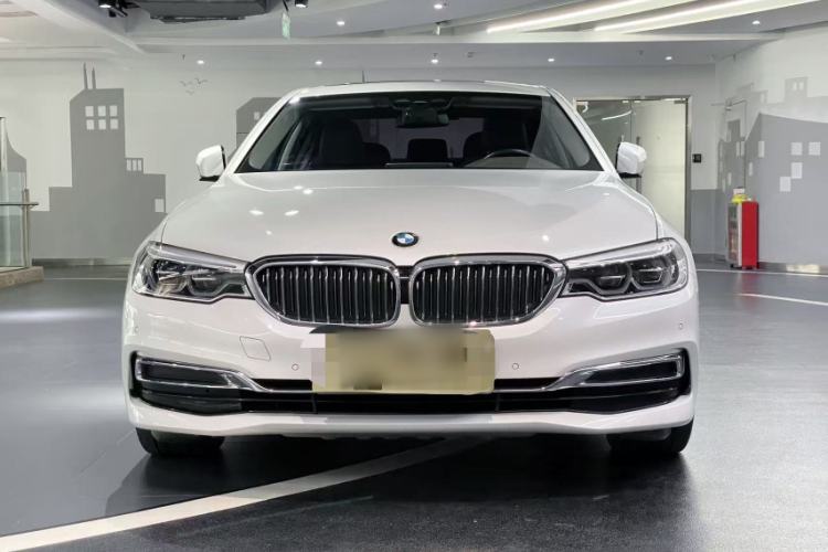 Used BMW 5 Series New Energy 2020 530Le Luxury Package
